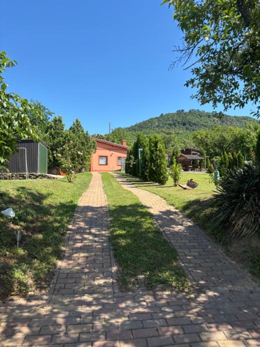 TanúHill Garden