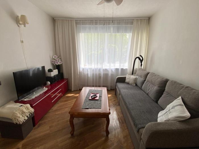 Klaipedas 108 Street Apartment