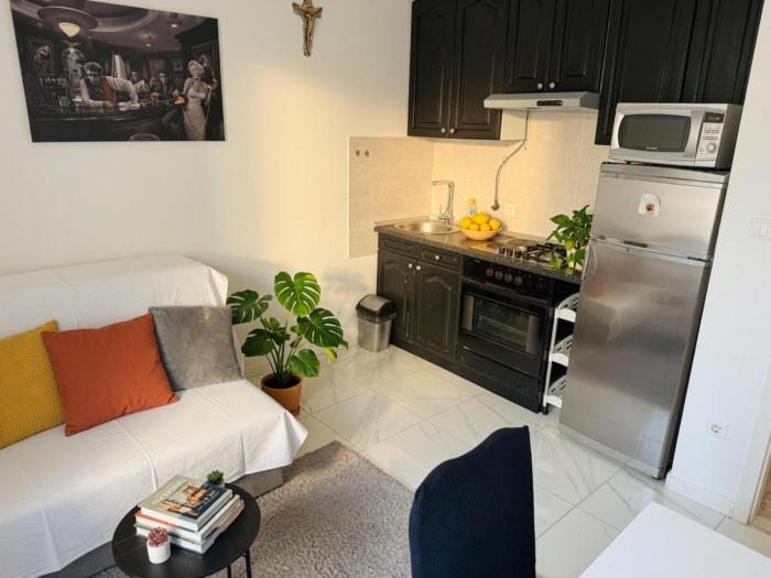 Luxury Apartment