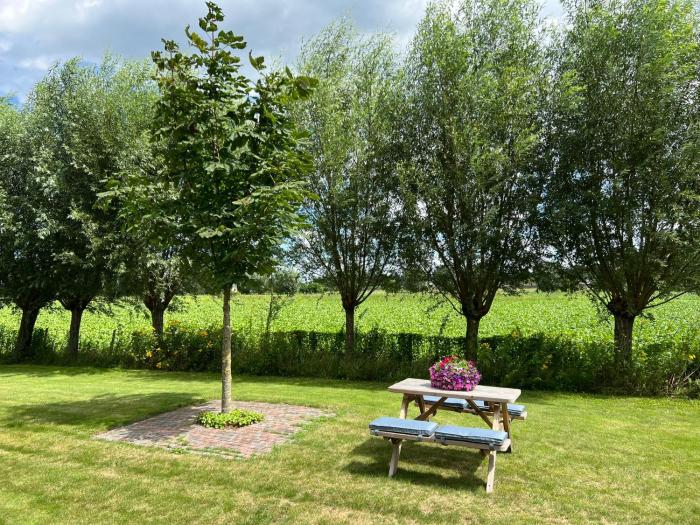 De Weidse Wetering - rust en ruimte in de natuur