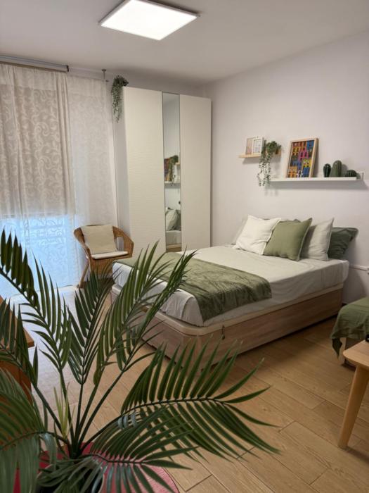 Apartamento Acogedor y Céntrico - Plaza del Charco