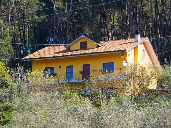 Holiday Home in Pescia with Private Pool