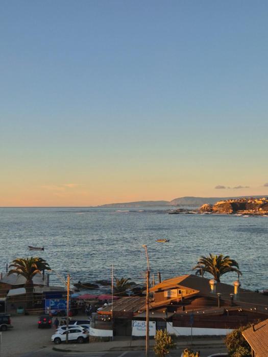 Costa quisco