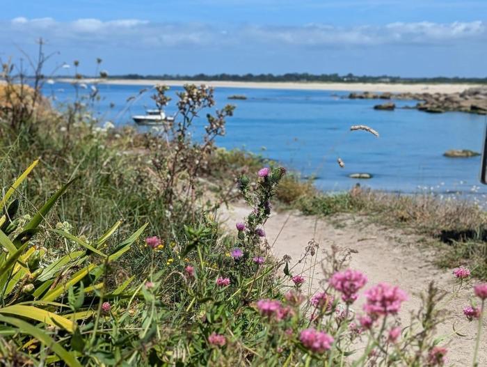 Appartement proche des plages