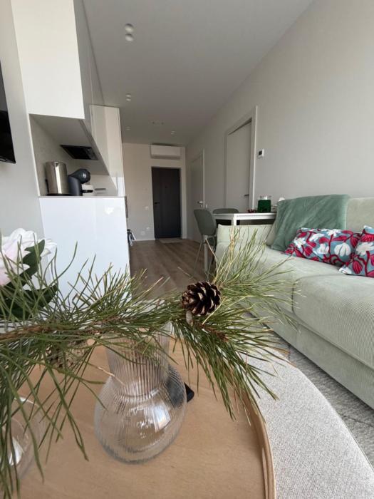 Pušų apartamentai su šildomu baseinu