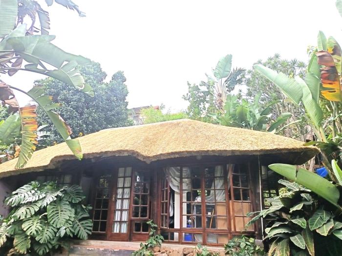 Robins Thatch Studio- bush camp in the suburbs-sleeps 2