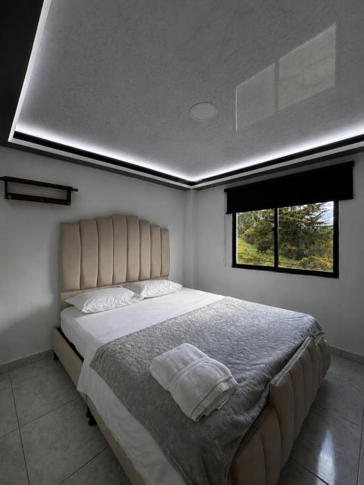 Suite Harmony