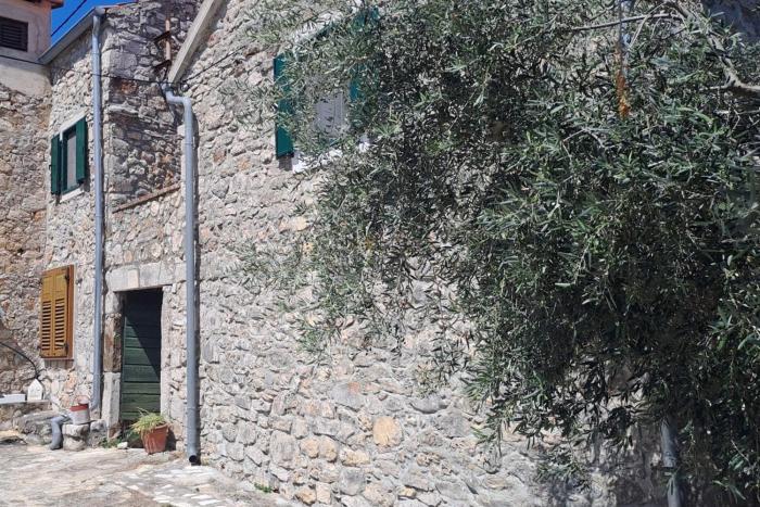Family friendly house with a swimming pool Zdrelac, Pasman - 27571