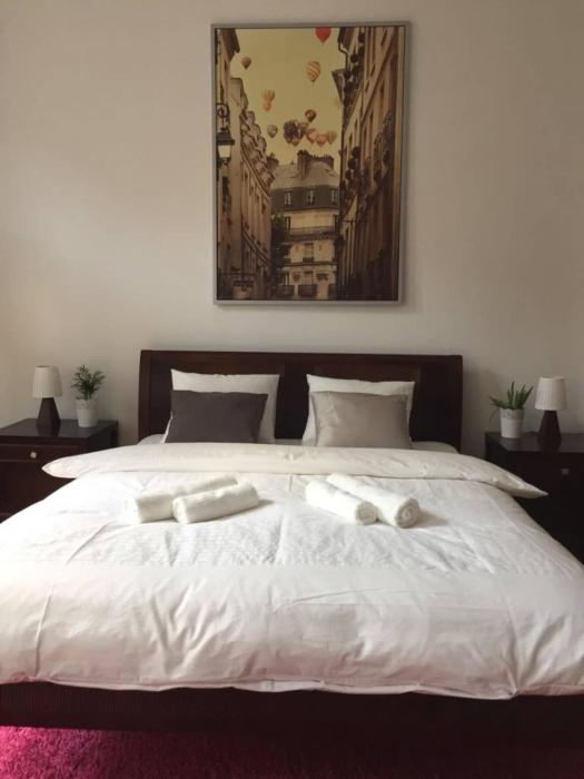 Gliwice City Center Beautiful and spacious apt