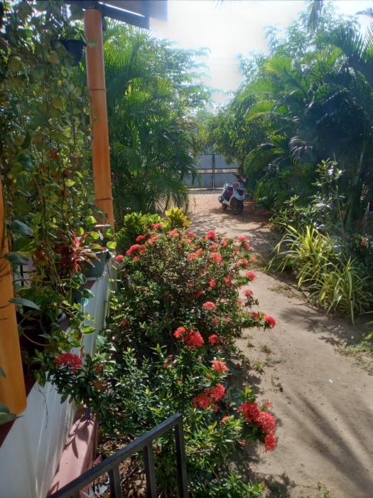 U new guest house