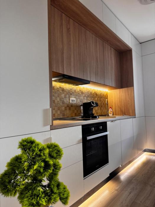 Central Apartment 2 Palas