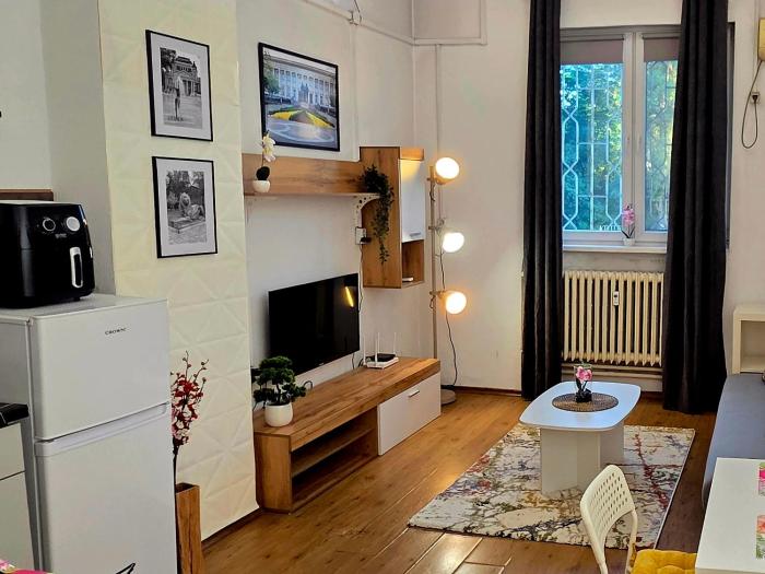 ALEXANDER Central Apartment
