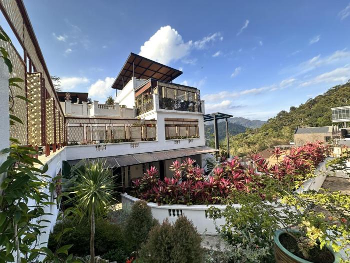 Camellia House, Dual-Suite bungalow with Swimming Pool
