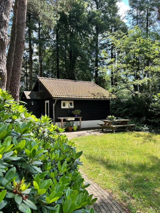 Kleine huisje op de Veluwe
