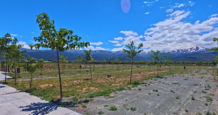 Camping & Área de Autocaravanas Las Viñas