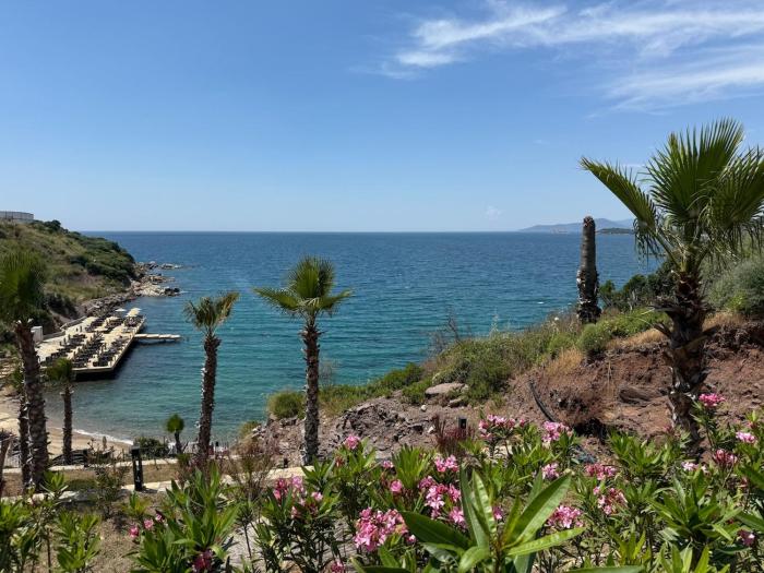 Beachfront Villa with private beach and pool