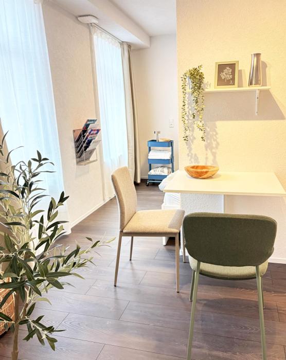 Modernes City Apartment Hockenheim Zentrum nahe Hockenheimring mit 2 Betten, WLAN & Kitchenette