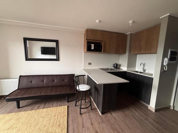Arriendo departamentos nuevos condominio terraza mirador