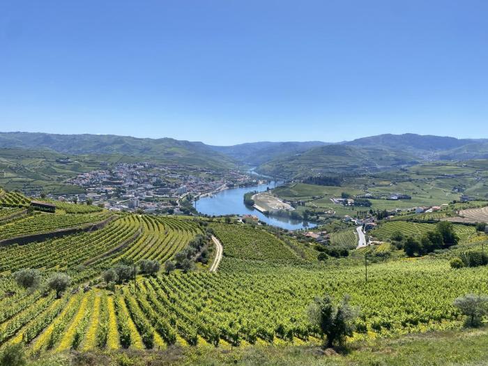Casa do Paço Suítes Douro Valley