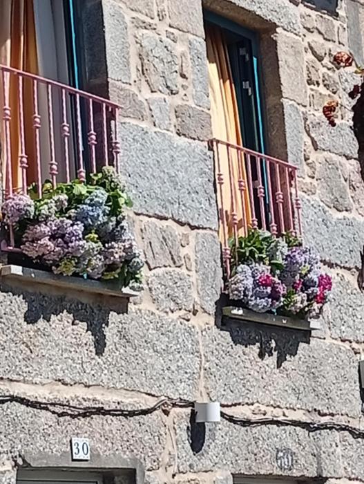 Mar de rosa