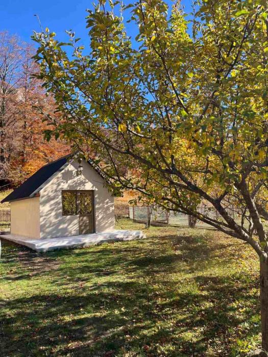 Grabovica Village Hideaway