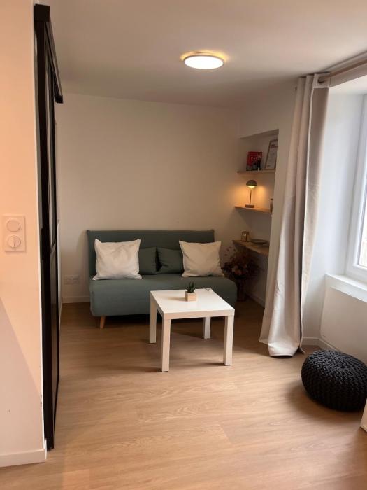 Charming cocoon in downtown Angers