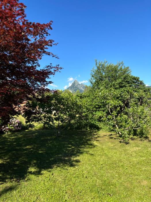 Apartments Five Peaks Bovec