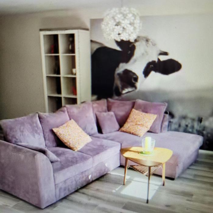 Cozy and beautiful property in Megève