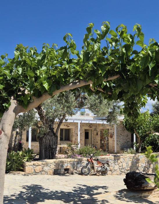 Villa Efthalia