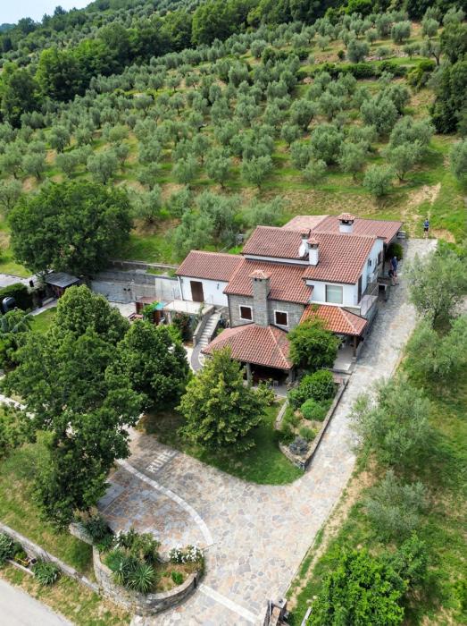 Stone House Apartment, Olive Grove & Valley View, Istria