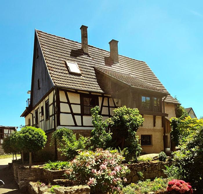 Neckarschleife-Apartment