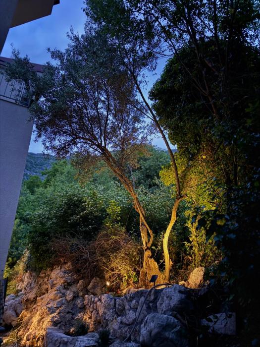 Olive Tree Apartment Unique 3-Level House
