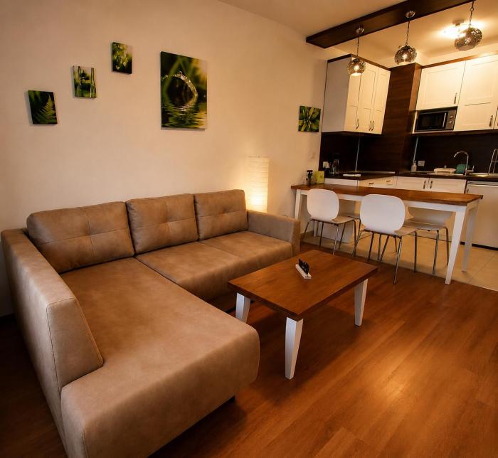 Belvedere Mountain Apartment near Gondola