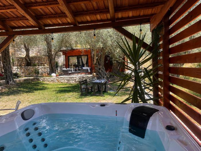 Olive grove Sofias Garden
