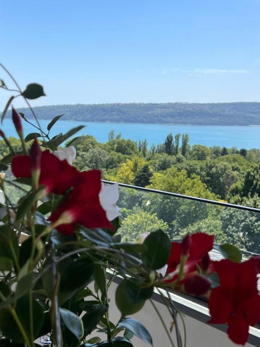 Kolevi Sea Garden Retreat