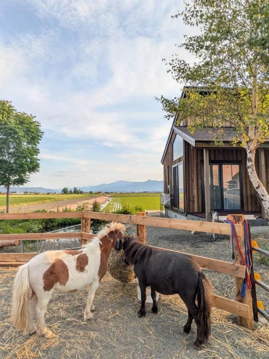 HORSE STAY LODGE kamifurano 山々とミニチュアホースを眺めて過ごす新築一棟貸 ホースステイロッジ上富良野