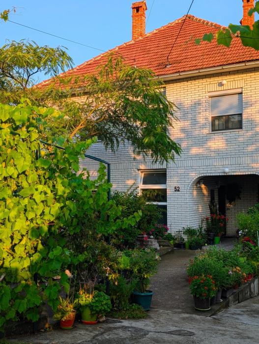 Apartman Veljković Dragana