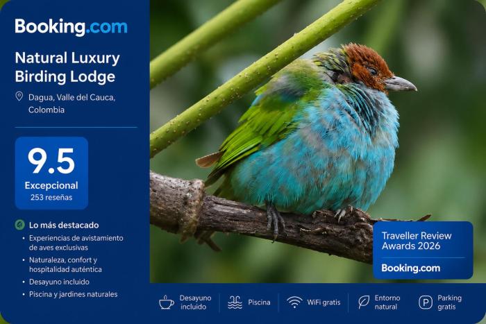 Natural Luxury Birding Lodge - Premium Birdwatching near Cali