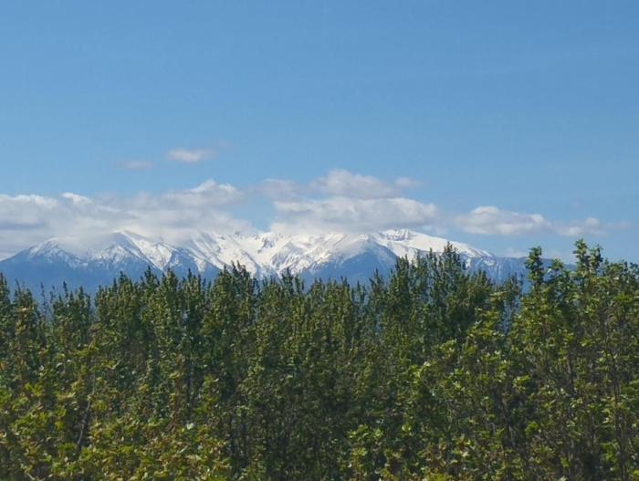 Apartment with 2 terraces and views of Canigou-Corbières
