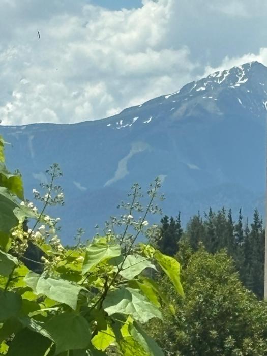 Modern apartment with a view of Pirin
