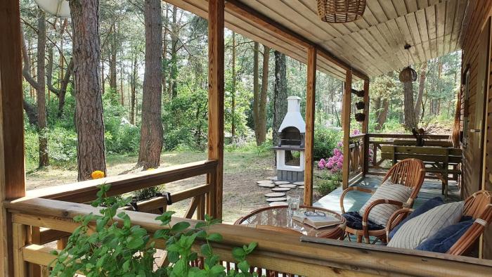 Forest Edge Retreat