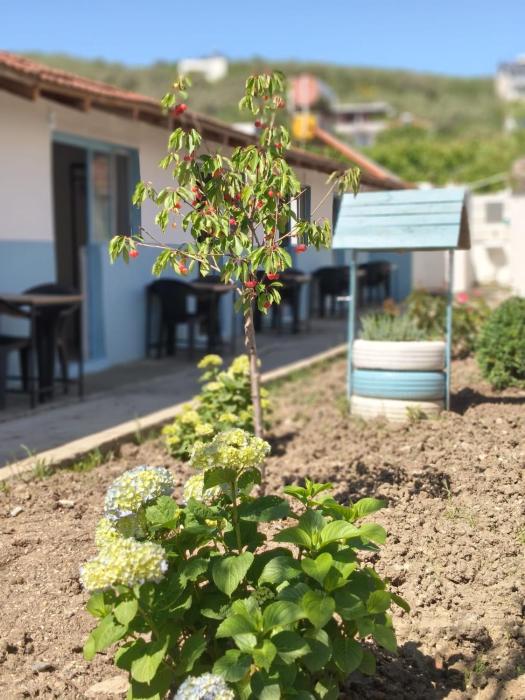 Bizim Pansiyon