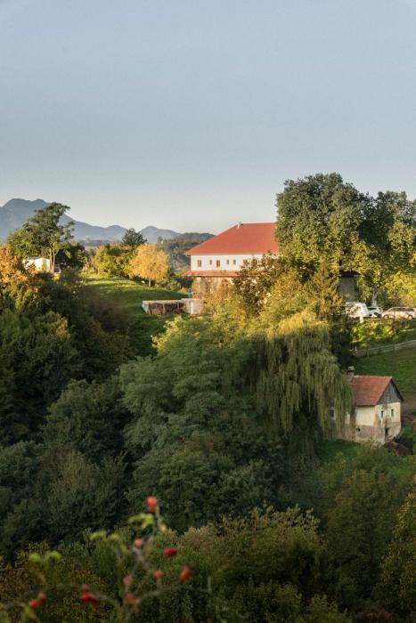 Villa Kasimir