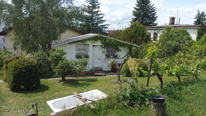 Garden Greenhouse Studio