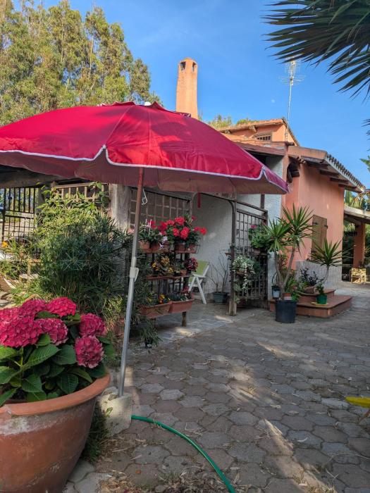 Accogliente appartamento mansardato Casa dei girasoli
