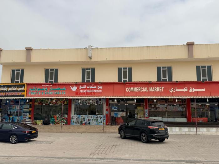 حياة صحلنوت