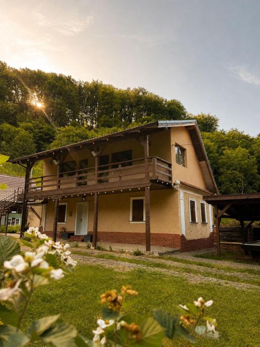 Cabana Din Pădure