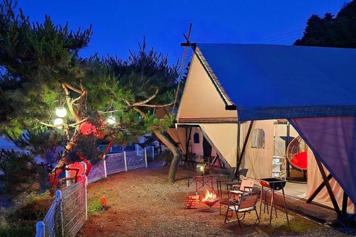 Nami Island Best Camping