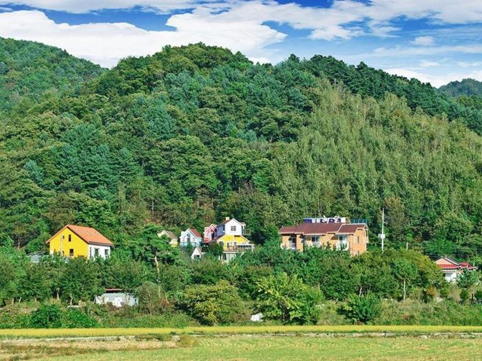 Gangchon Choco Mint Pension