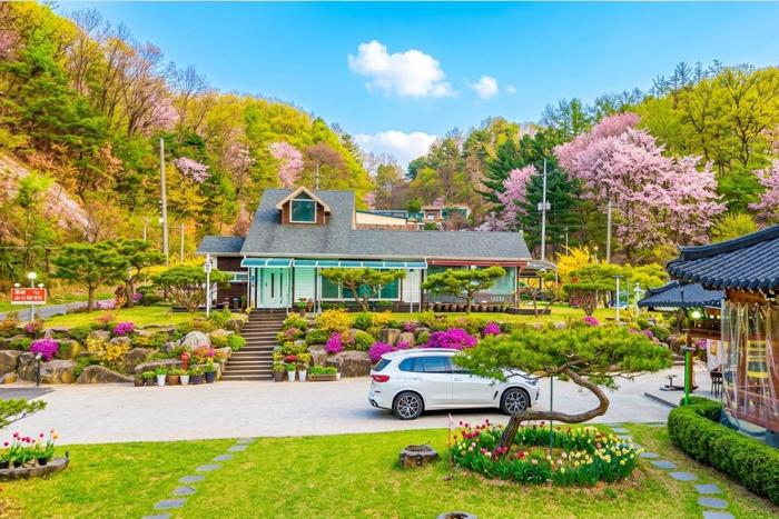 Gangchon White House in the Forest